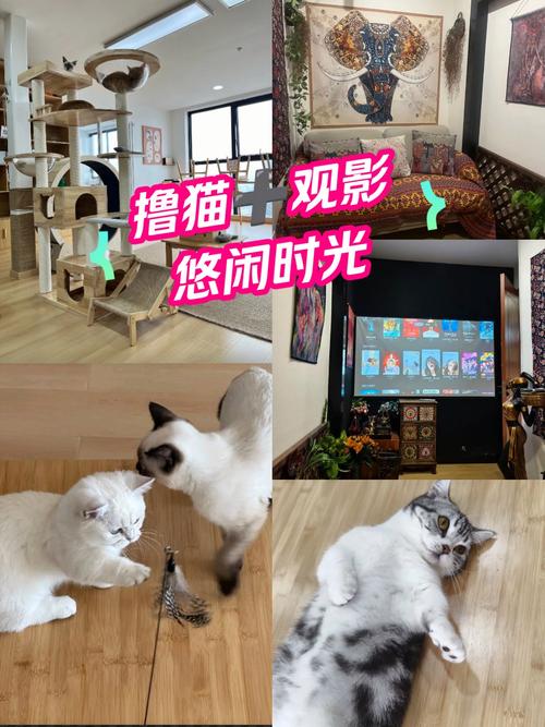射入人妻娇嫩的花心的相关介绍