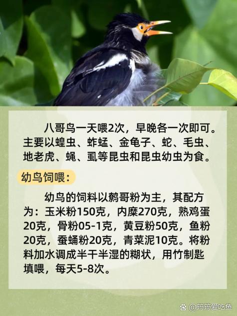和老师上床啪啪啪的相关介绍
