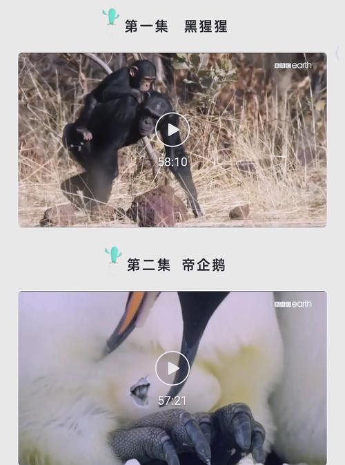 强占人妻(高h)小说的相关介绍