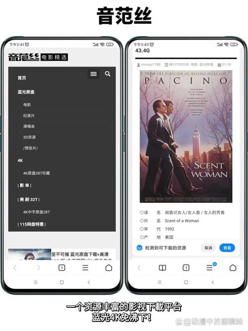 男女搞动漫的相关介绍