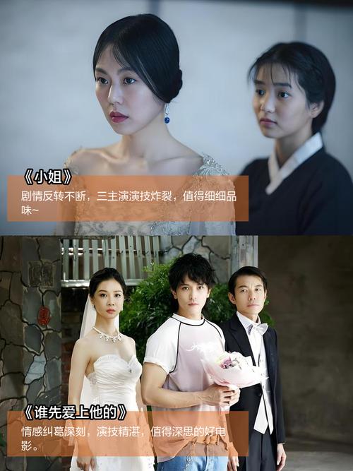 老司机影院视频免费版的相关介绍