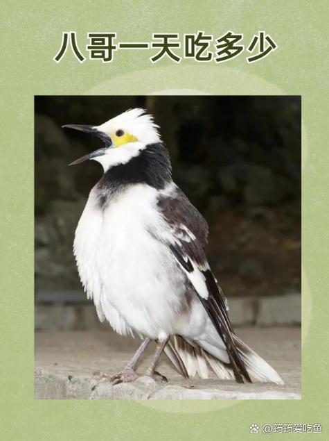久久偷拍片久久的相关介绍