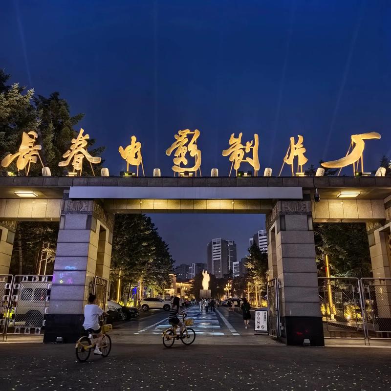 调教奴妻高h的相关介绍