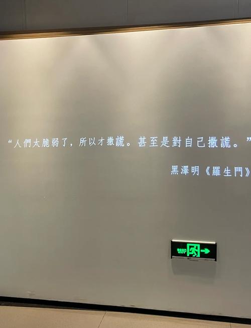 vip影院的相关介绍