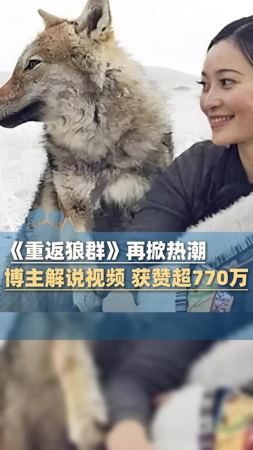 午夜激情久久精品的相关介绍