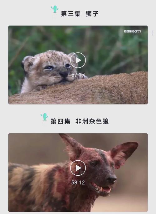 香港精品少妇偷人av的相关介绍