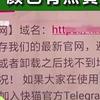 女人的黄色录像的相关介绍