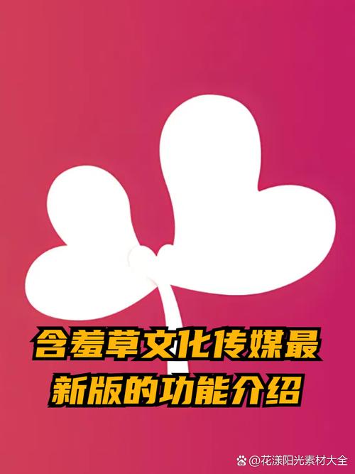 老湿影院视费看的相关介绍