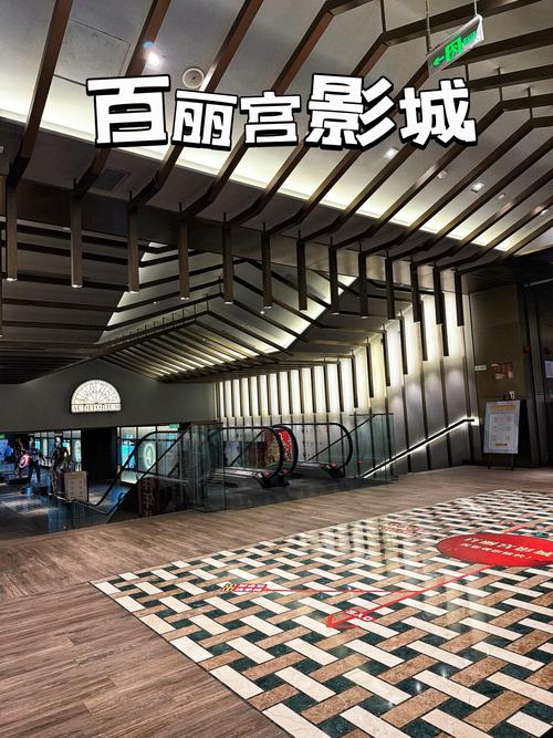 麻豆糖心传媒视频的相关介绍