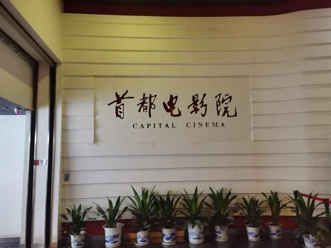 玉林影院的相关介绍