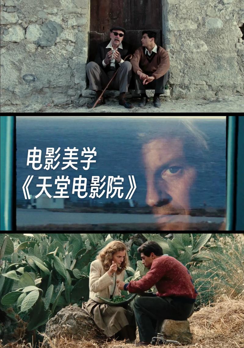 精品久久激情的相关介绍