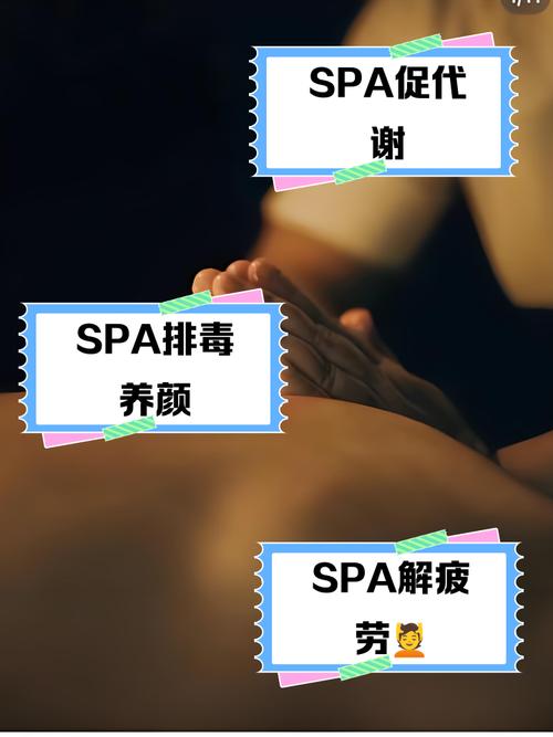 激情精品久久久的相关介绍