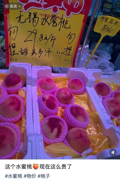 8090新视觉影院手机版的相关介绍