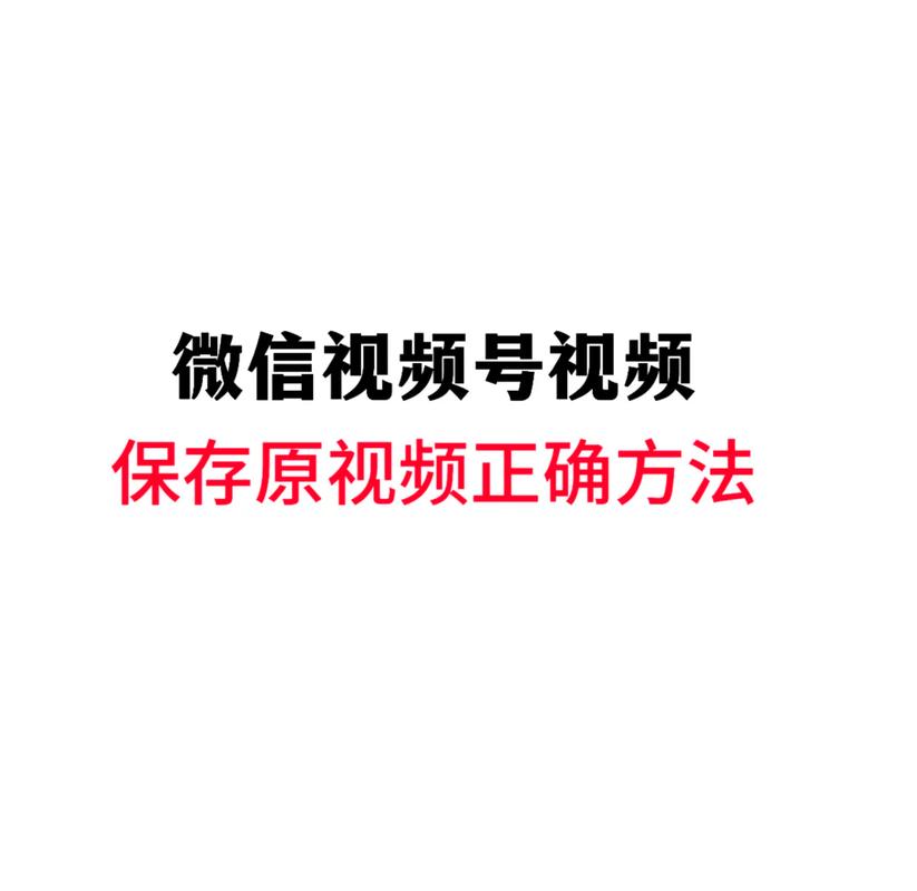 1024欧美金沙人妻你懂的的相关介绍