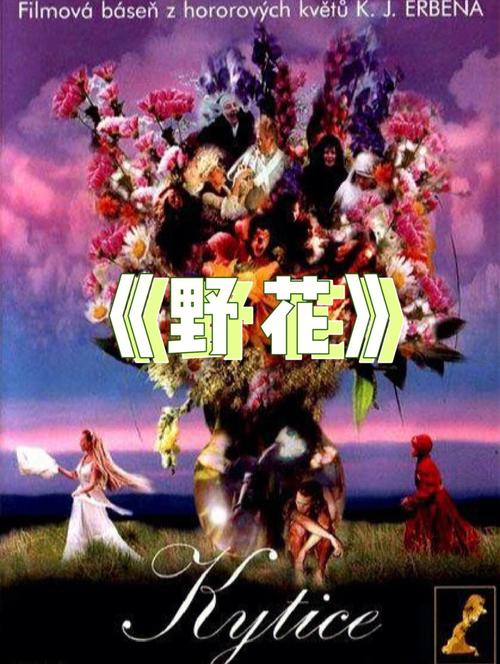 亚洲激情久久久久的相关介绍