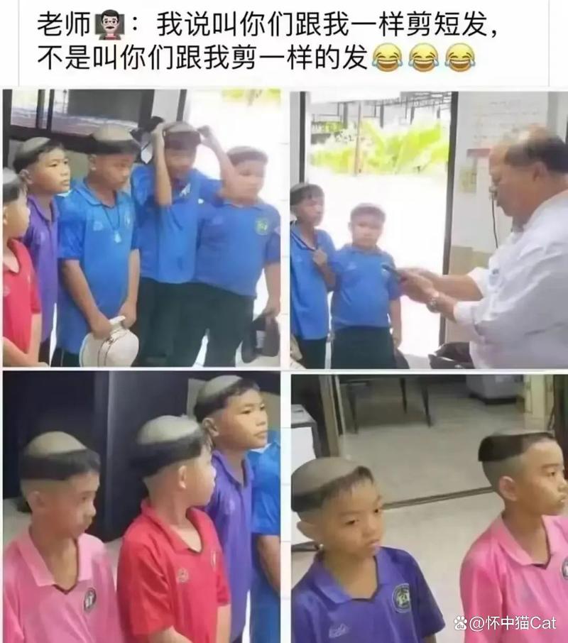 天天撸影院的相关介绍
