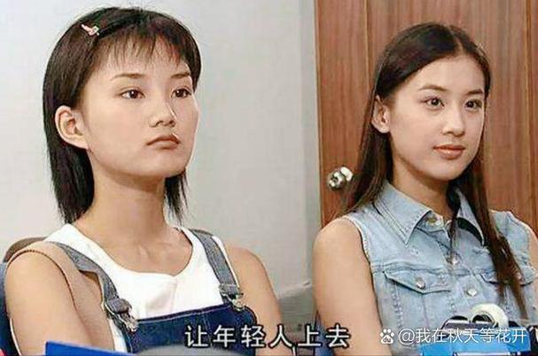 chc家庭影院节目表的相关介绍