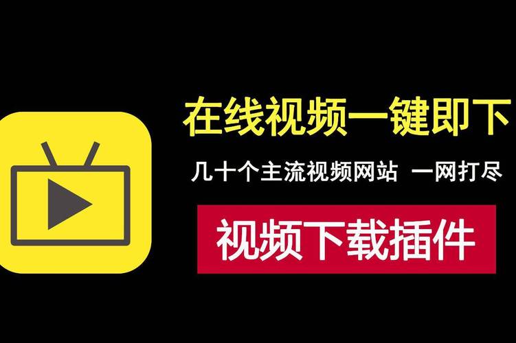 va在线观看的相关介绍