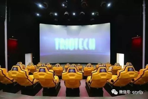 19禁止的网站在线看的相关介绍