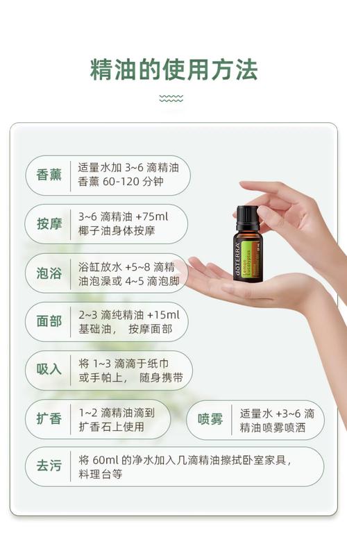 男女高h调教文的相关介绍