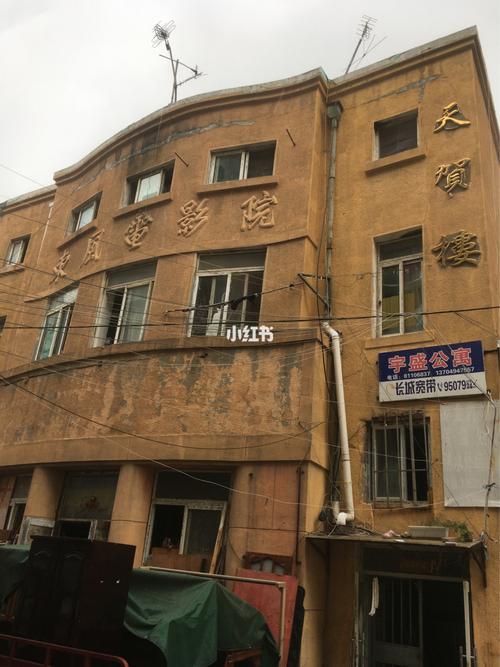 精品久久久大的相关介绍
