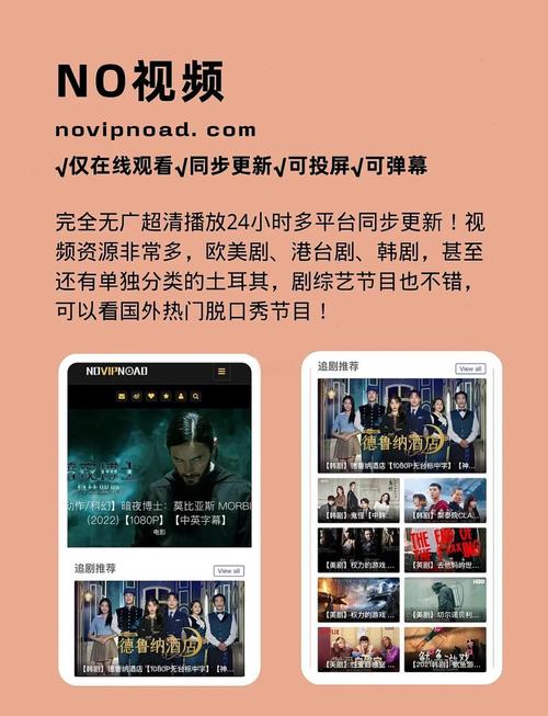 风月影院的相关介绍