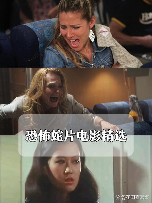 97影院午夜免费视频的相关介绍