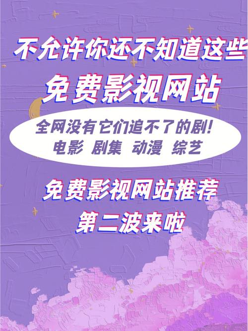 老湿成人影院的相关介绍