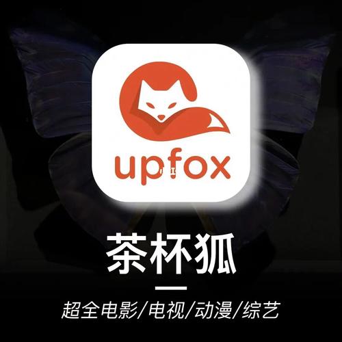 亚洲va视频一区二区的相关介绍