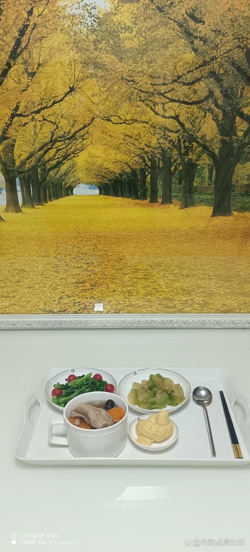 青年宫电影院的相关介绍