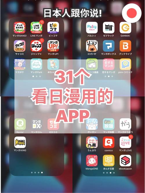 操到喷白浆的相关介绍