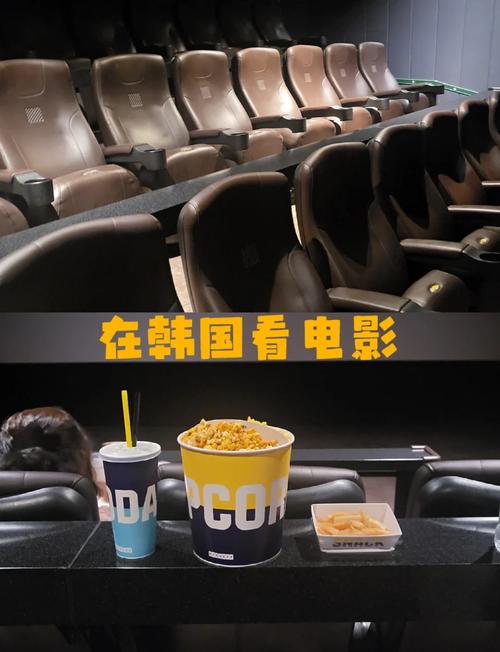 色ss电影院的相关介绍
