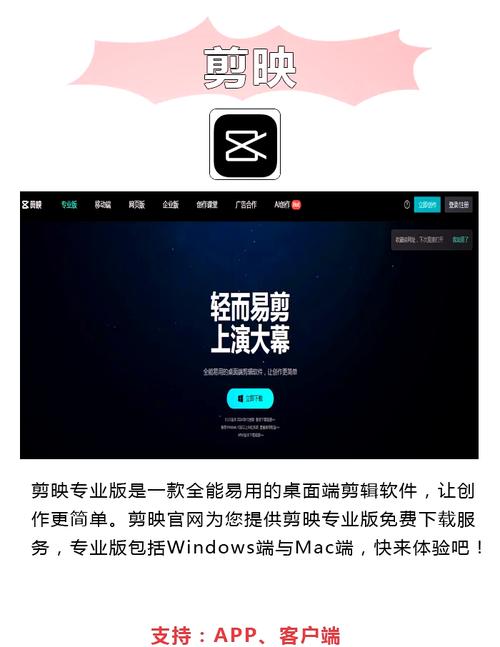 成年人毛片av的相关介绍
