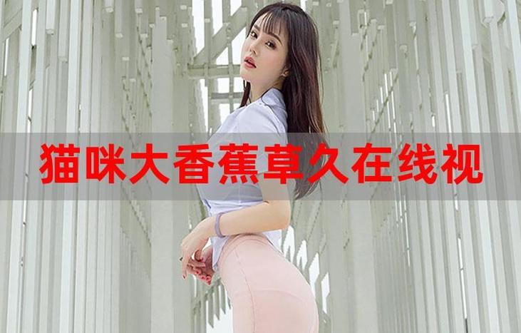 撸一撸影院的相关介绍