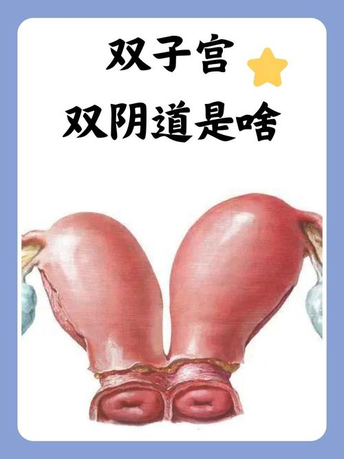 第一次处破女14分钟毛片的相关介绍