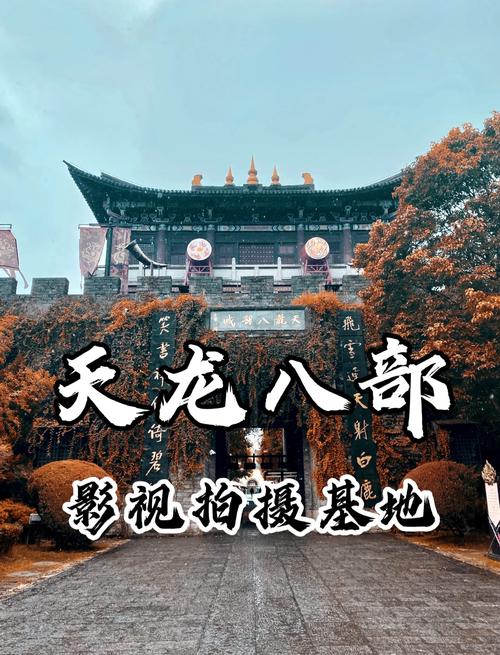 午夜寂寞影院支持安卓手机的相关介绍