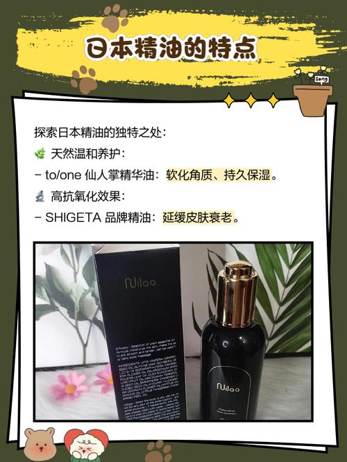 日韩熟妇av的相关介绍