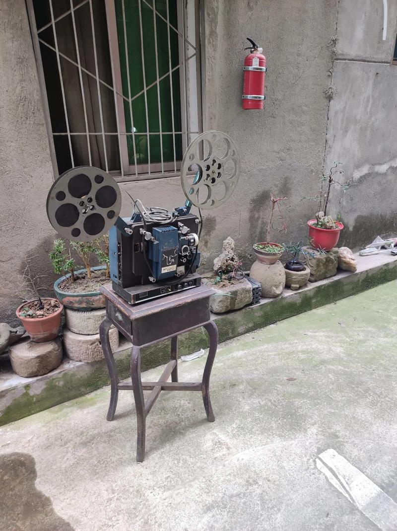 皮特影院手机在线观看免费的相关介绍