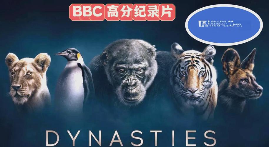 55影院的相关介绍