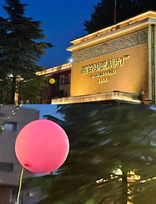 18禁在线观看网站的相关介绍