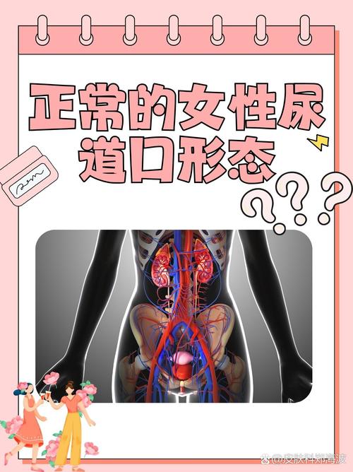 成龙电影院的相关介绍
