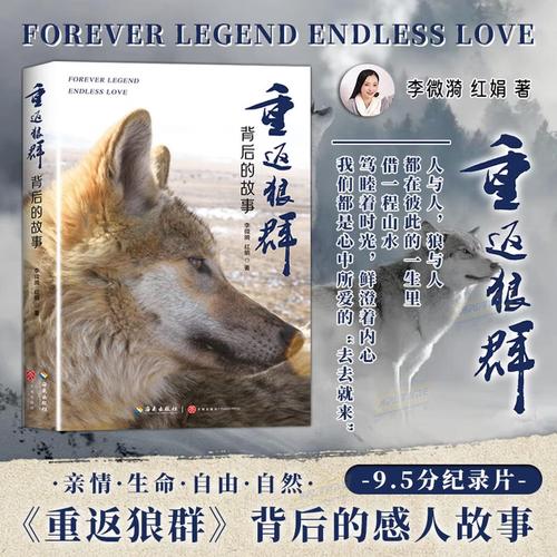 久久久情色视频的相关介绍