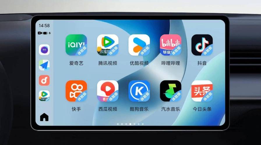国精品久久久久久的相关介绍