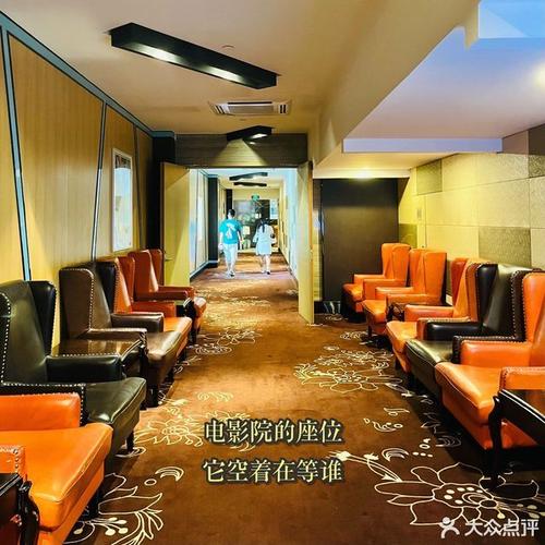 4480首播影院的相关介绍