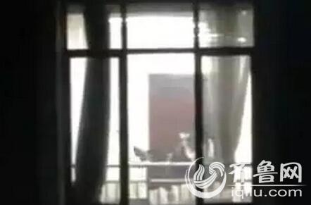 操白浆hd的相关介绍