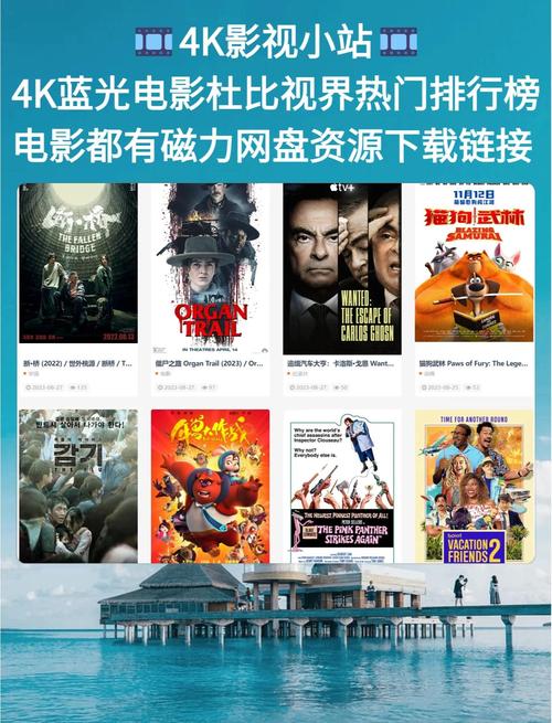 厦门电影院的相关介绍