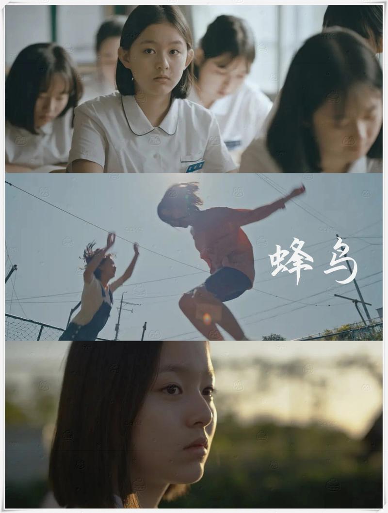 爱爱小说邻居的相关介绍