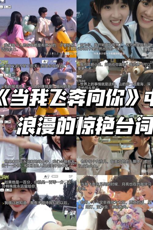 飘花电影院午夜伦的相关介绍